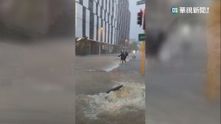 紐西蘭奧克蘭破紀錄暴雨　至少釀3死1失蹤