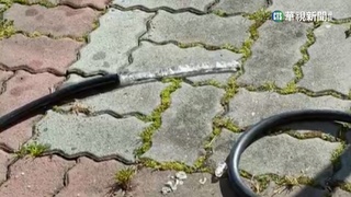 今晨最冷苗栗只有4°C　初九開工漸回暖