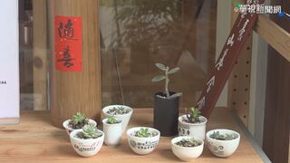 跨海網購植物類產品小心檢疫規定 未檢疫而經海關查獲者 最高可處15萬罰鍰