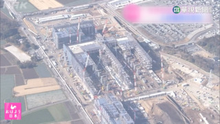 錄取26人走一半！　日企難敵台積電高薪徵才