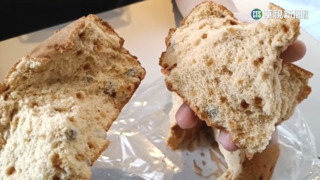 女驚伴手禮蛋糕藏蒼蠅　業者致歉:加強品管