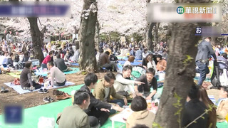 清明連假「請2休9」　業者:團費比春節減3成