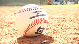 "經典賽用球大又滑" 投手努力適應手感