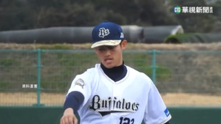 旅日好手張奕「肩膀發炎」　退出WBC中華隊