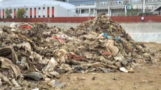 台肥遭批「運廢慣犯」　吹哨者曝「省1300萬」