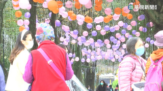 立春元宵北東有雨　下周鋒面.東北季風接力到
