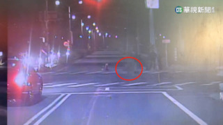 12歲童過斑馬線遭撞飛不治 駕駛5萬交保