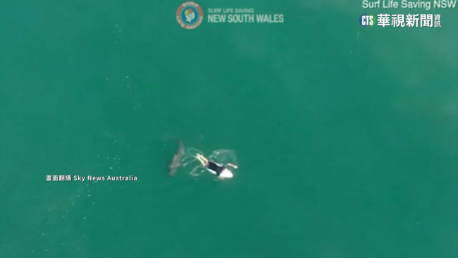 百年來首例！　澳洲少女河中游泳遭鯊魚襲擊亡 | 華視新聞
