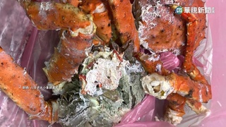 八斗子海產店帝王蟹發臭　市府祭斷水斷電