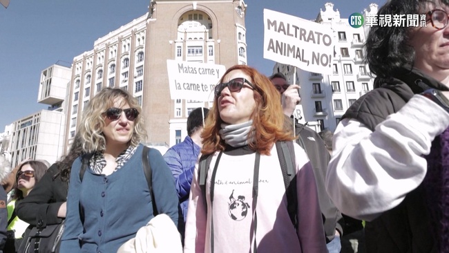 西班牙數千人遊行　籲國會立法禁帶獵狗打獵 | 華視新聞