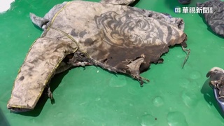 炮城下方疑放置「火龍珠」　釀嚴重燒燙傷事故