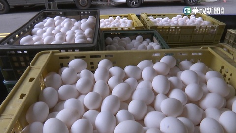 雞蛋每台斤漲3元喊卡　陳吉仲:農委會沒涉入