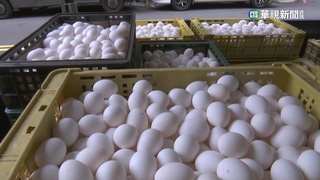 雞蛋每台斤漲3元喊卡　陳吉仲:農委會沒涉入