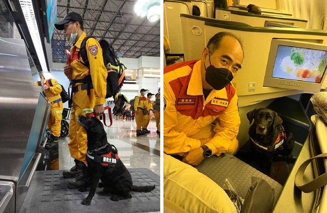 出國救災搭貨艙挨批　第二批搜救犬改搭商務艙　獸醫師心疼：搜救犬是隊員 | 華視新聞