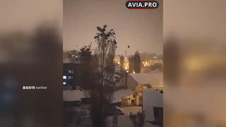 鳥群恐慌亂飛擠樹上　土國強震前影片引熱議