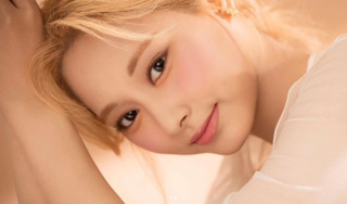 理想情人職業調查！男女都愛「老師、教授」 男性「夢中情人」最愛周子瑜