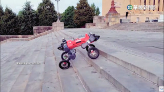 瓦礫縫隙尋倖存者　高科技機器狗搶救生命