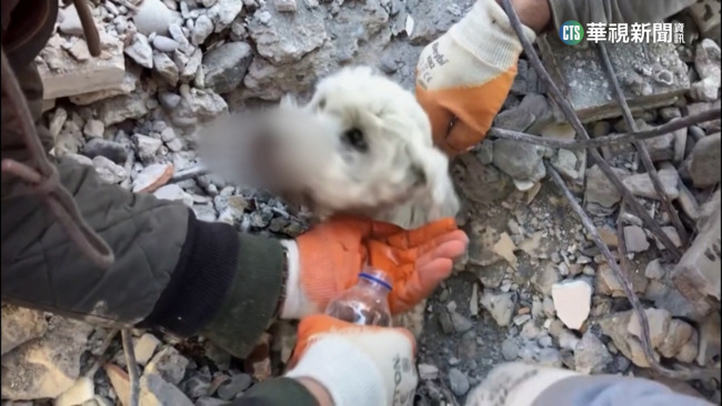 全程緊護寵物鳥　土國男童埋逾2天終獲救 | 華視新聞