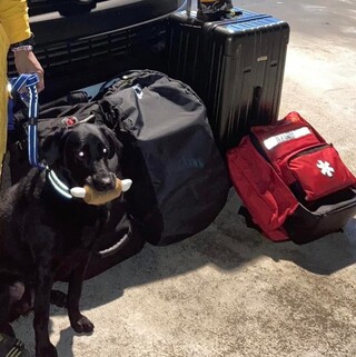 搜救犬咬雞腿被批「觀感不佳」 領犬員揭真相 霸氣喊話「我不會改」