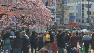 出國就要去日本？日本旅遊成本低 國旅這「兩點」輸慘