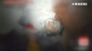 土耳其強震　女子拚死護女　女童奇蹟生還