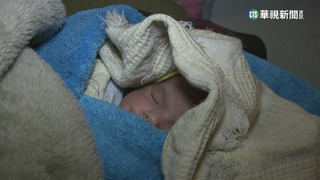 地震來襲要臨盆...　敘利亞媽媽堅強生產