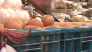 蛋價周一恐再漲2元　養雞協會:許多蛋商缺蛋