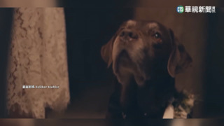 美式足球超級盃收益大　廠商爭搶廣告曝光