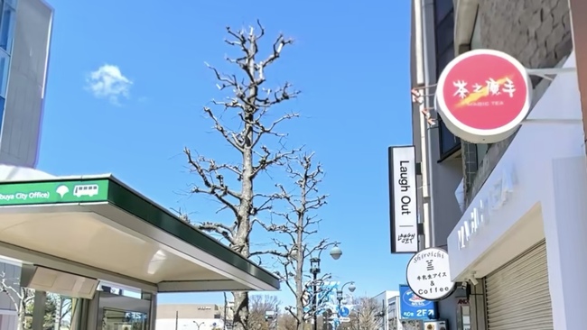 日本見飲料界「南霸天」 招牌卻不見「1日文」 網釋疑：不能隨便用 | 華視新聞