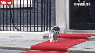 英國首席捕鼠官 上任滿12周年粉絲破82萬