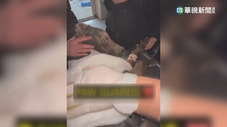 土耳其強震　多國搜救隊馳援　墨國搜救犬殉職