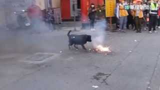 日媒錄節目見證進香　主持人感受媽祖魅力