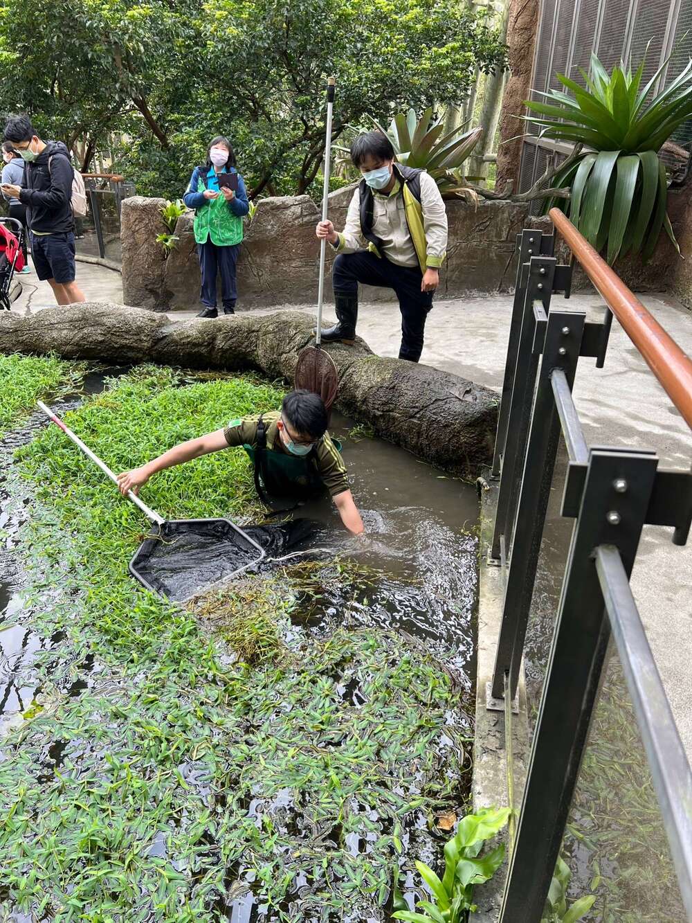 保育員下水打撈遺失錢包 / 圖片來源 台北市動物園