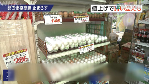 禽流感+飼料價格飆升　日本蛋價創30年新高