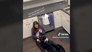 澳牧驚覺主人身體不適！秒拿藥遞水陪伴在側 影片曝光全網看哭了