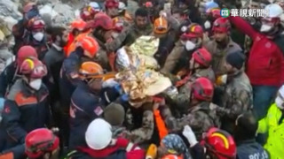 土震受困11天2女1男獲救 吊出一頭受困牛