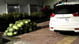 冬瓜價漲3倍！　偷瓜賊「後輪下沉」露餡遭逮