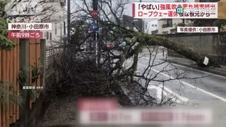 強烈暖風「春一番」吹日本　氣溫上升堪比4月天