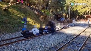遊客鐵軌「划龍舟」拍照　林鐵處：觸犯鐵路法