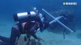 小琉球浮潛業者聯合漲價　21間業者挨罰235萬