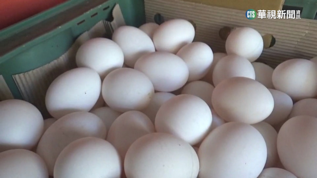 北市物價指數七大類全漲 「蛋類」上漲28.24%漲幅最大 | 華視新聞