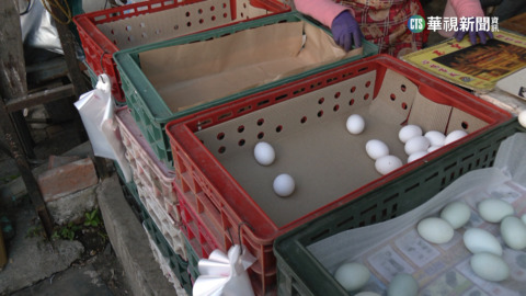 全台鬧蛋荒　炎亞綸質疑炒作　稱「每天吃得到蛋」