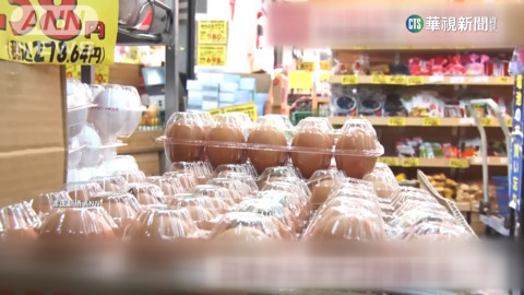 禽流感疫情襲全球　各國蛋價持續飆漲