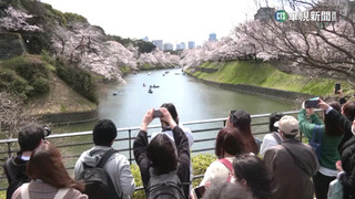 觀光客擠爆日機場「安檢超過1小時」　工作人員大喊吃不消