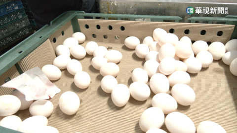 缺蛋無法補充蛋白質？高敏敏：不一定非吃蛋 揭「10食材」取代蛋