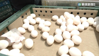 缺蛋無法補充蛋白質？高敏敏：不一定非吃蛋 揭「10食材」取代蛋