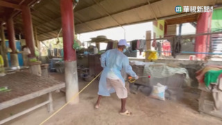 柬埔寨爆1童染禽流感死亡　東南亞9年來首起