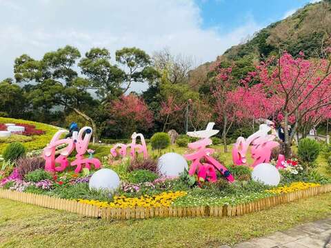 228連假台北旅遊攻略！室外賞花、室內看展　多項住宿優惠曝光