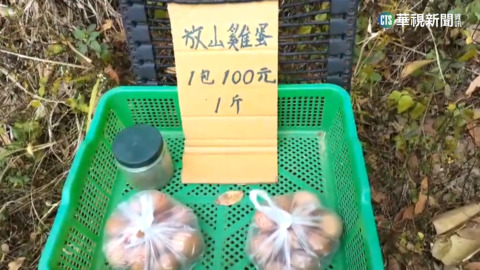 大坑登山遇賣土雞蛋攤　1斤百元半天賣光