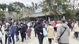 228連假湧人潮！　全台遊樂園排人龍大爆滿